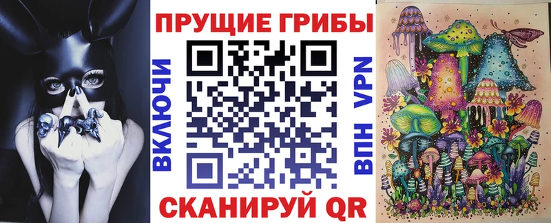 хочу   Воркута  Псилоцибиновые грибы MAGIC MUSHROOMS 